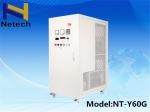 China 60g / H Swimming Pool Ozone Generator Adjustable 220v Ozone Machine Water cleanr wholesale