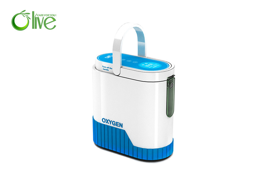 China Rechargeble Battery 10 Liter Oxygen Concentrator , Home Oxygen Concentrator Machine wholesale