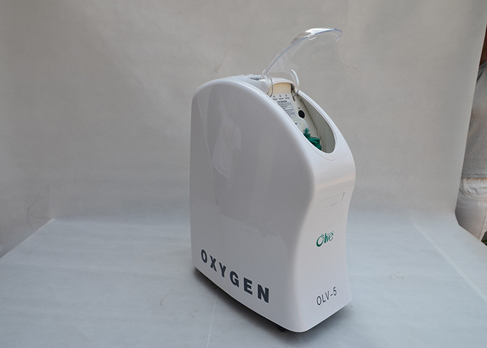 China Molecular Sieve 5L Animal Pulse Oxygen Concentrator 93% Purity Low Noise 19KG wholesale