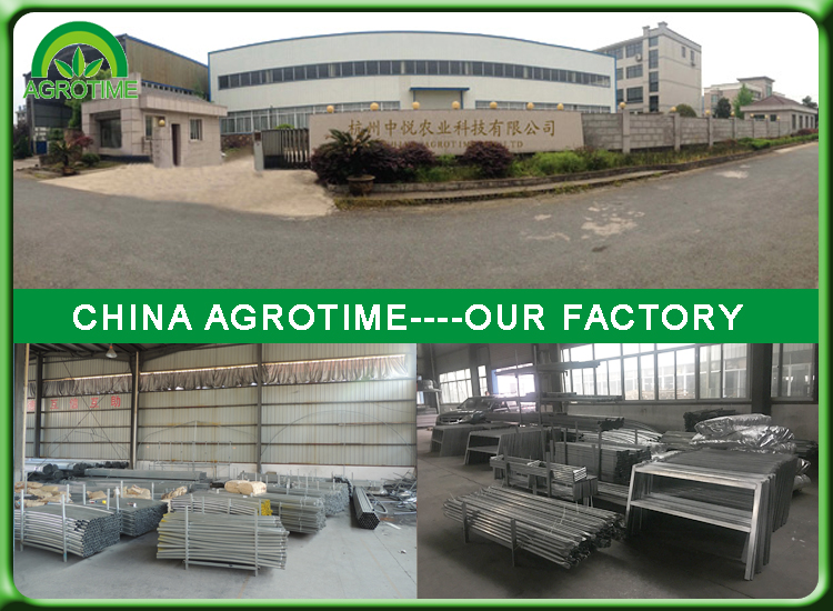 factory of greenhouse.jpg