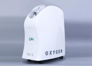 China Rechargeable Battery Operated Oxygen Concentrator , AC / DC 20 Liter Oxygen Concentrator wholesale