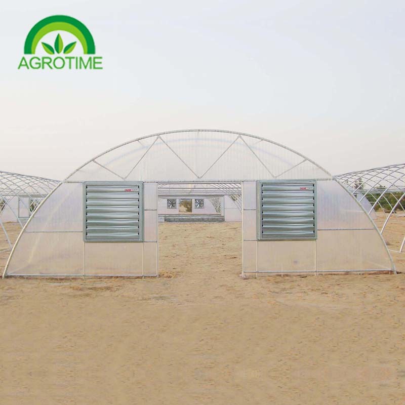 Best Price Factory Direct sale 2019 single tunnel greenhouse with Film Cover and for sale
