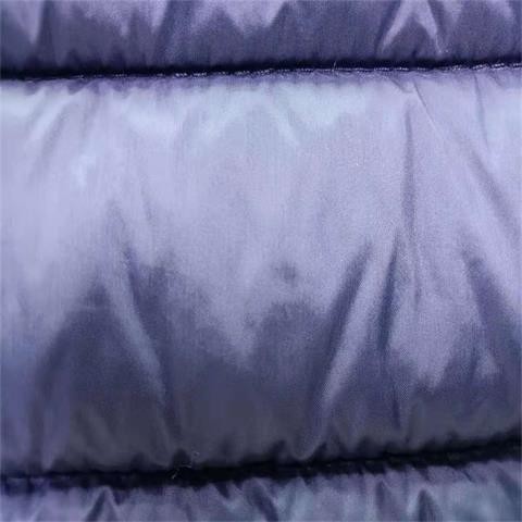 China 240gsm Soft Shell Material 20dx20d 137CM Quilting Nylon Taffeta Fabric wholesale