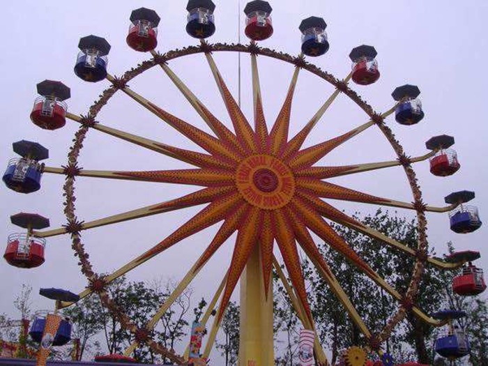 China Flower Cabins Design Amusement Park Ferris Wheel Driven By Electric Control System wholesale