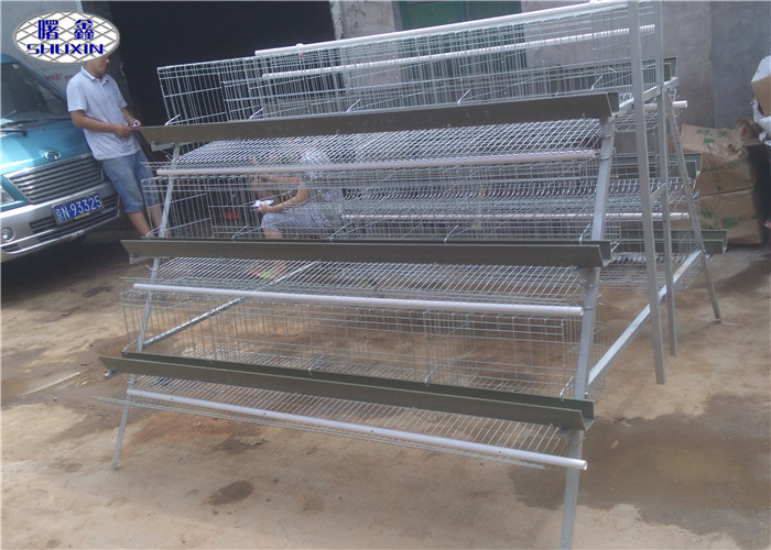 China Durable A Type Wire Poultry Cages For Zimbabwe Farm 360 Degree Drinking wholesale