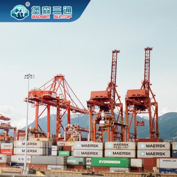 China Shipping Customs Clearance International In Shenzhen China To USA wholesale