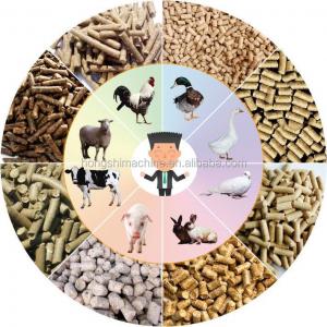 China High quality animal feed pellet machine,complete small animal feed pellet production line wholesale