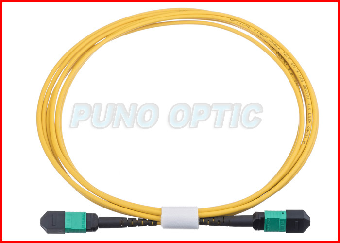China 24 X Lanes LC Fiber Optic MPO Trunk Cable OS2 Single Mode Low Insertion wholesale
