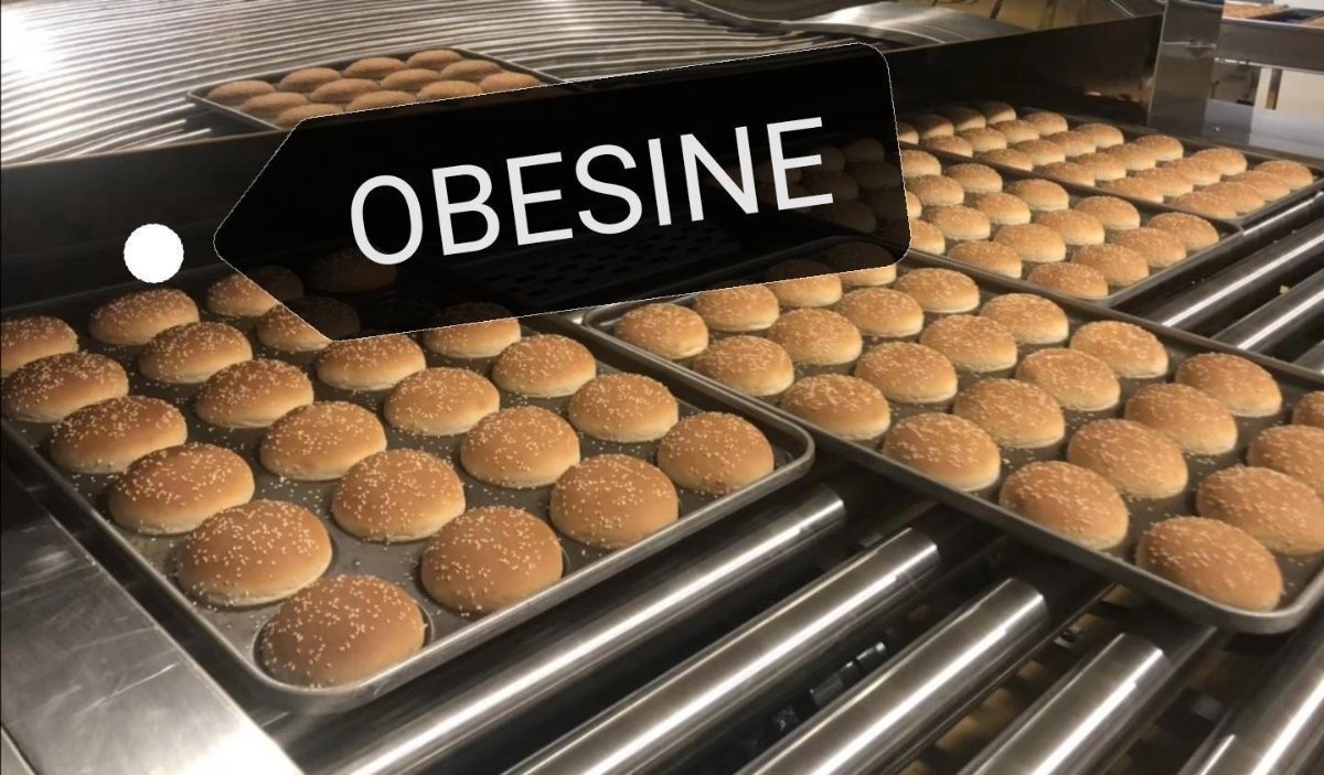 Buy cheap OBESINE full automatic Hamburger Buns Production Line,Automatic Sandwich bread from wholesalers