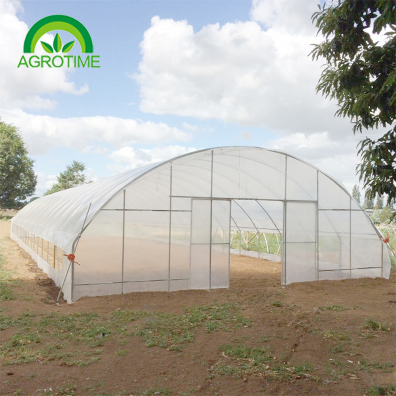 low cost multispan greenhouse Commercial farming for sale for vegetables for sale