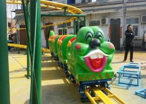 China Green Worm Shape Kiddie Roller Coaster For Large Parks And Tourist Attractions wholesale