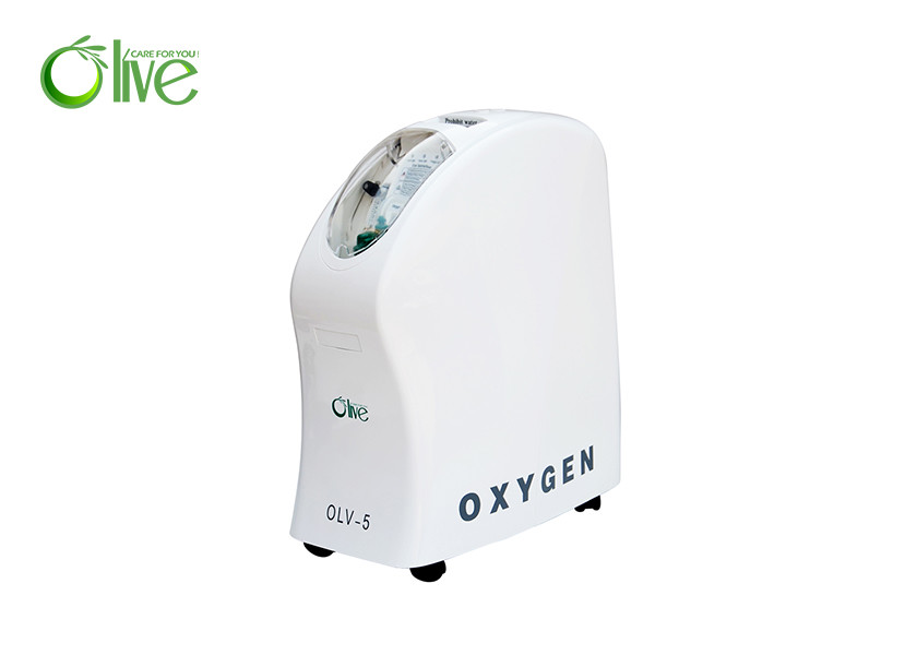 China Light Weight Stationary Oxygen Concentrator 3l 10000 Hours Life Time Foe Patient wholesale