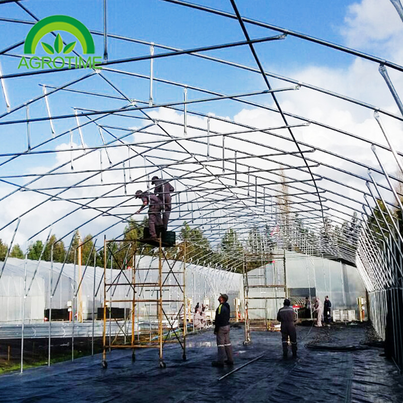 China 2019 poly film thickness butterfly greenhouse grow tent for vegetables for sale
