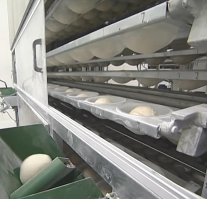 OBESINE full automatic Hamburger Buns Production Line,Automatic Sandwich bread divider rounder ,dough proofer