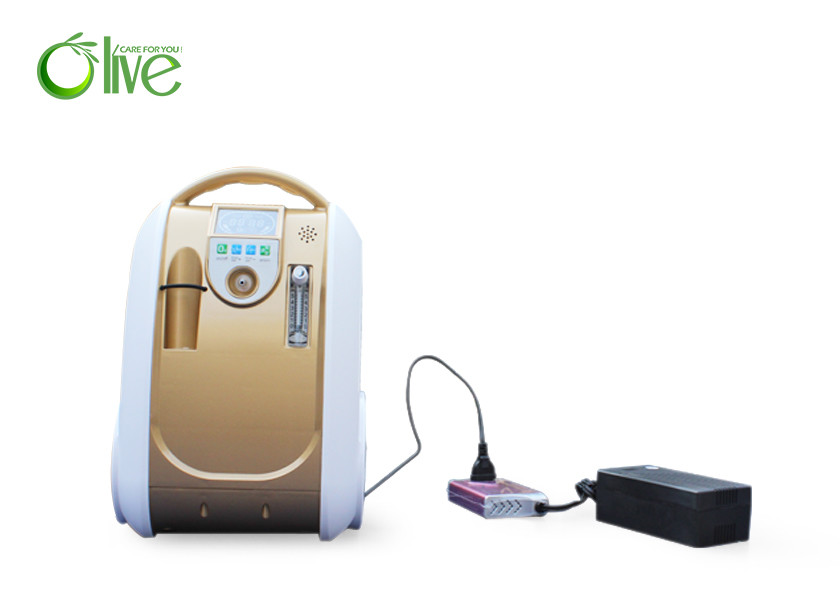 China Home Care Medical Oxygen Generator , Portable Oxygen Concentrator 6 Lpm Continuous Flow wholesale