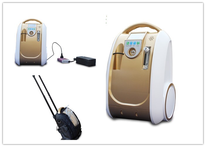 China High Flow Portable 10 Liter Oxygen Concentrator Lightweight Low Power Consumption wholesale