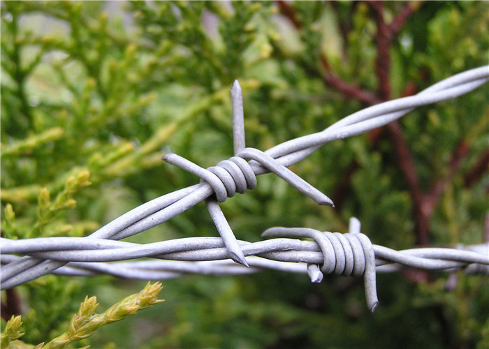 China Barbed Wire Fencing I 1320 ft. 4 PT 12-1/2GA Galvanized With Two / Four Point wholesale