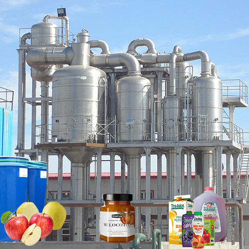 Food Grade Stainless Steel Apple Juice Processing Plant 50T/D Turnkey Service