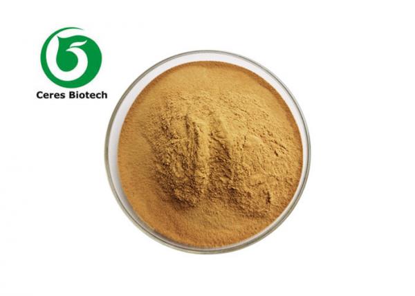 Quality Pure Natural Yucca Herbal Extract Powder 40-60g/100ml for sale