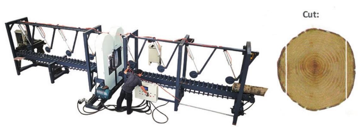Double Vertical Band Saw Wood Cutting Bandsaw Sawmill Machine Price for sale