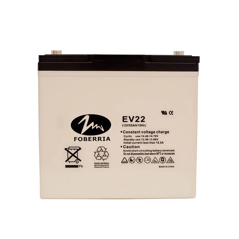 China AT 12v 55ah EV Lead Acid Batteries EV22 Electro Tricycle Sulfuric Acid Battery wholesale