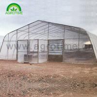 2019 Agricultural hot galvanized steel pipe singe-tunnel greenhouse with plastic for sale