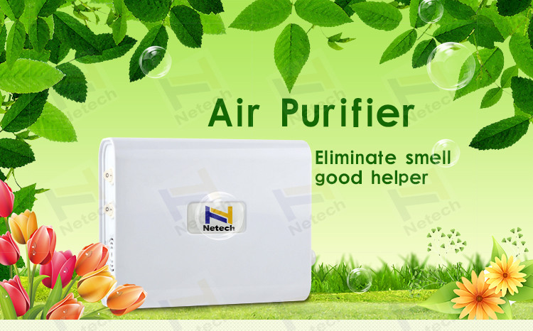 China 100mg Mini Portable Commercial Ozone Generator For women Skin care and facial wholesale
