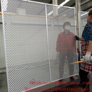 China lowes expanded sheet metal architectural decorative mesh design wholesale