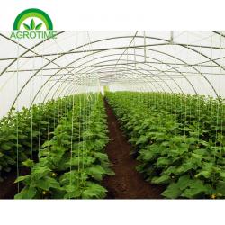 China Best Price Factory Direct sale 2019 single tunnel greenhouse with Film Cover and hydroponic growing systems for sale