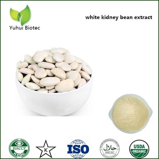 Quality white kidney bean extract powder phaseolamin,phaseolin,phaseolamin,white kidney bean p.e. for sale
