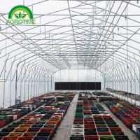 2019 poly film thickness butterfly greenhouse grow tent for vegetables for sale