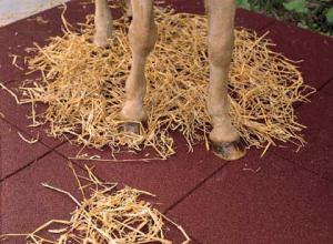China equine rubber flooring wholesale