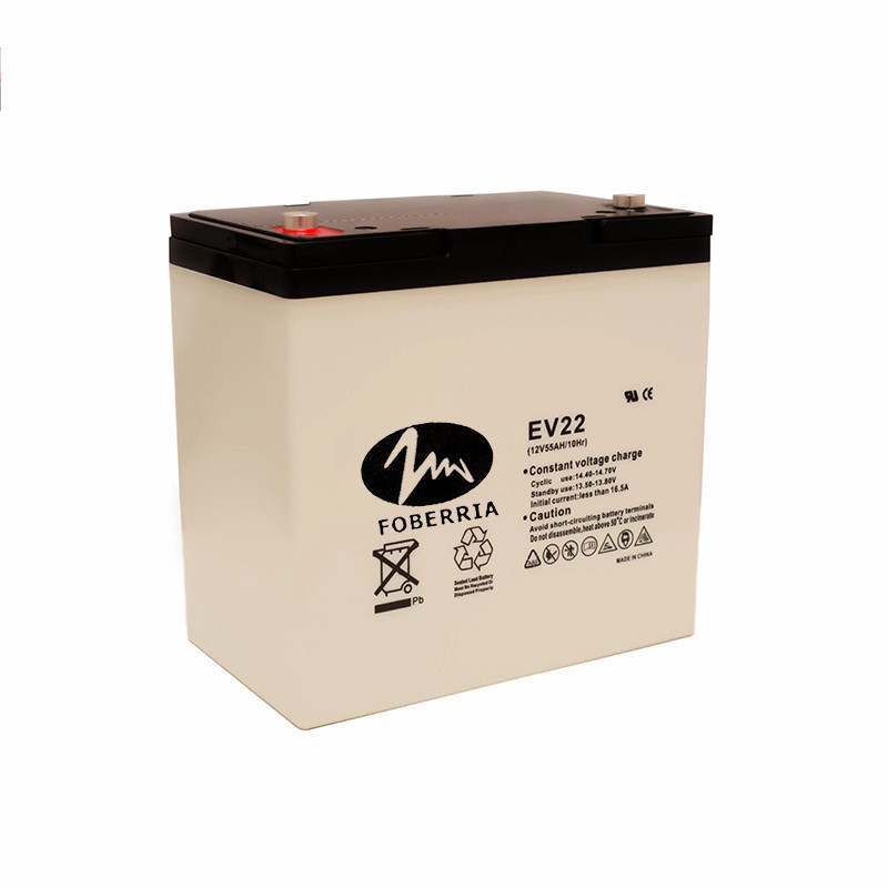 China AT 12v 55ah EV Lead Acid Batteries EV22 Electro Tricycle Sulfuric Acid Battery wholesale