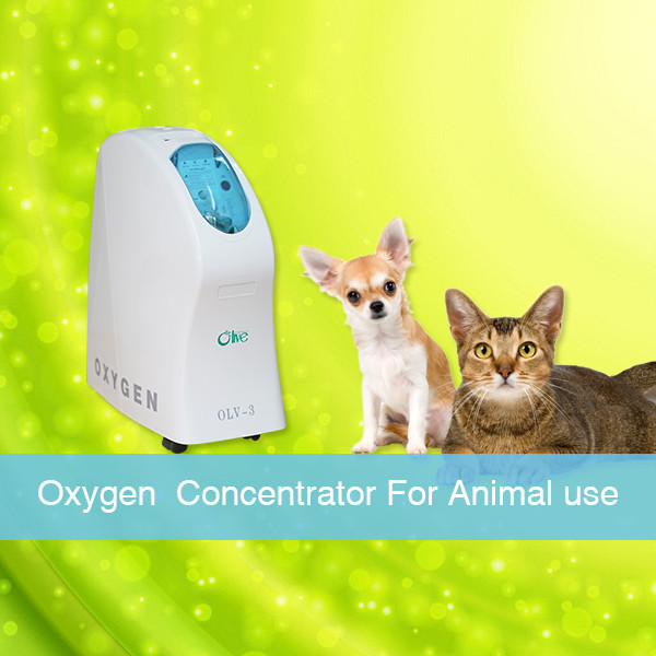 China Molecular Sieve 3 Liter Oxygen Concentrator Hight Efficient For Pregnant Women wholesale