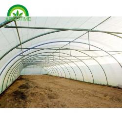 China Best Price Factory Direct sale 2019 single tunnel greenhouse with Film Cover and hydroponic growing systems for sale