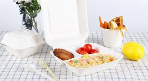 China 8 inches disposable Sugarcane Bagasse fiber paper clamshell food packaging box on sale