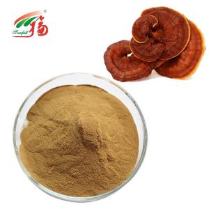 China 30% Polysaccharides Mushroom Extract Powder Reishi / Ganoderma Lucidum Extract wholesale