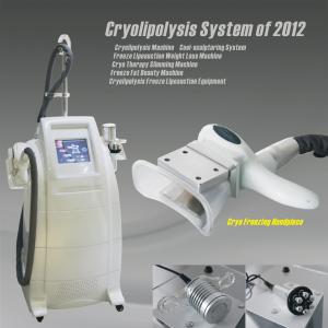China Cool Sculpting Zeltiq Cryolipolysis Machine For Home Use / Salon Beauty wholesale