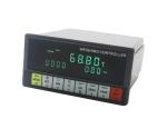 Manual / Auto Totalizing & Weighing Controller EMC Design Setpoint DO Output