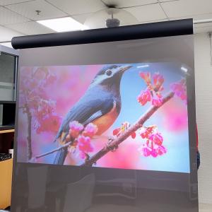 China Holographic Projection Screen Film  , Rear Projection Film For Glass For Window Store wholesale
