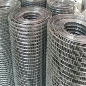 China High quality customizable galvanized welded wire mesh for enclosure farming wholesale
