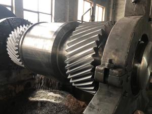 China High Precision Worm Wheel Gear For Transmission Gear Phosphate Mines wholesale
