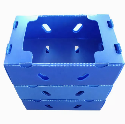 Vegetables Fruit Packaging Boxes Corrugated Plastic Static Protective