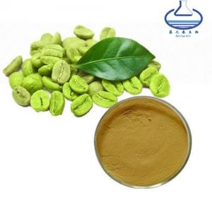 China Bulk Green Coffee Bean Extract Powder 10/1-50/1 Food Grade wholesale