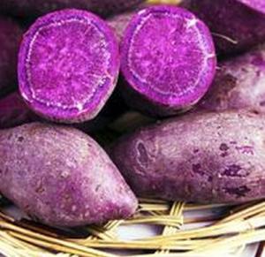 China 100% water-soluble Purple Sweet Potato Powder wholesale