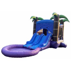China Customized Combo Bouncer With 2 Slides And Pool Wet Or Dry Jumping Castle With Water Slide wholesale
