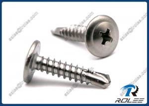 China Stainless Steel 304 Philips Modified Truss Head Self Drilling Screws wholesale