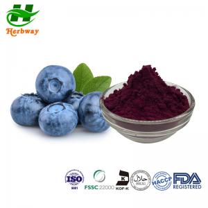 China ISO Natural Pigment Powder 25% Anthocyanidins 84082-34-8 Europen Bilberry Extract Powder on sale