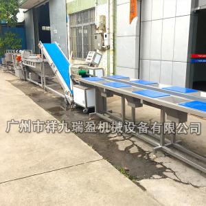 China Stainless Steel Salad Production Line  / Industrial Vegetable Inspecting Processing Line wholesale