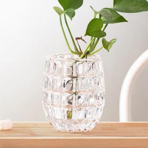 China Egg Shape Home Decoration Glass Bottles 520ml Machine Made Mini Clear Glass Vases wholesale